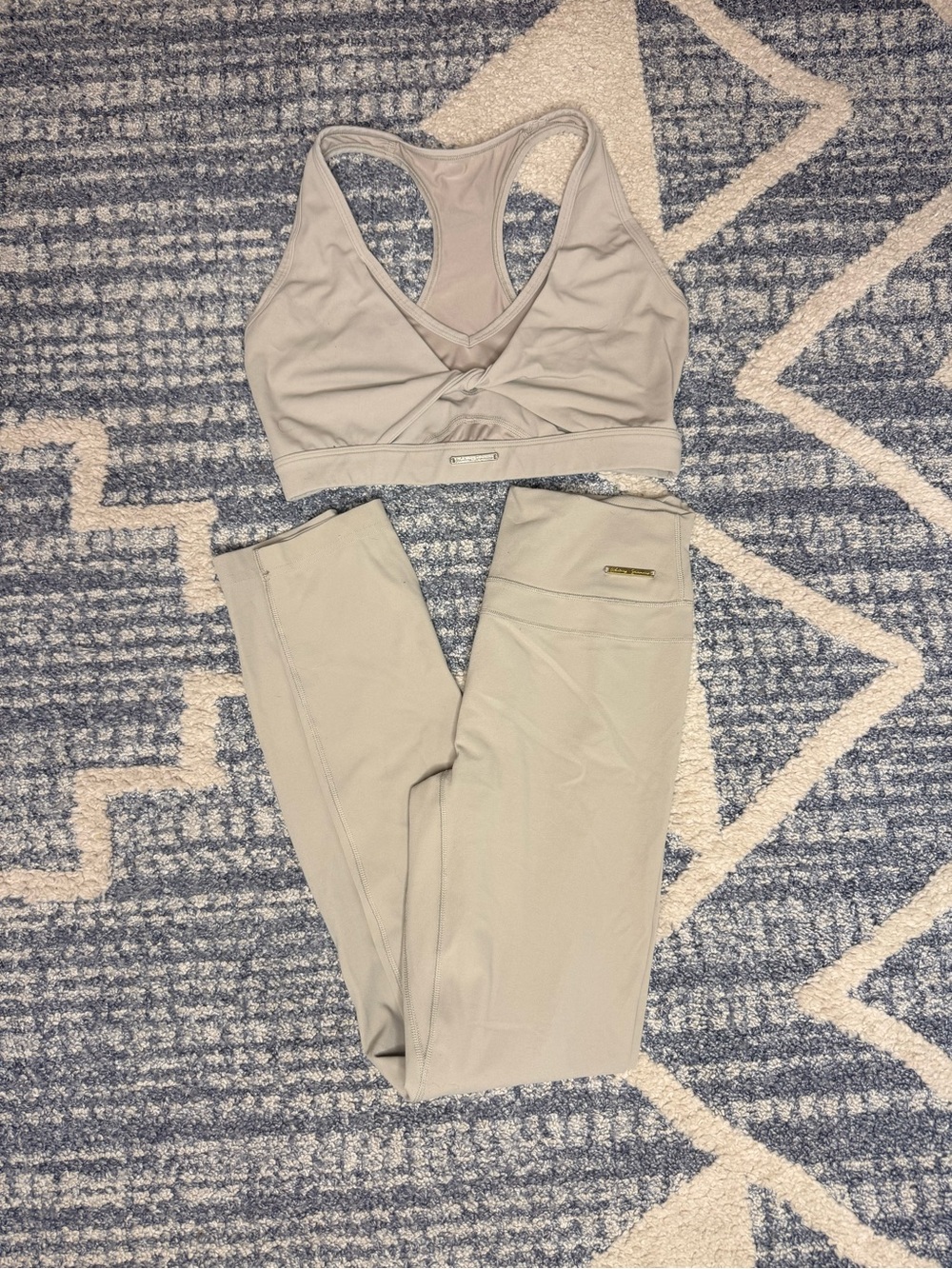 Whitney Simmons x Gymshark Workout Matching Set